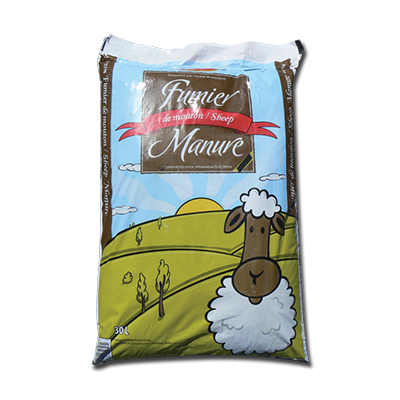 Fumier de mouton